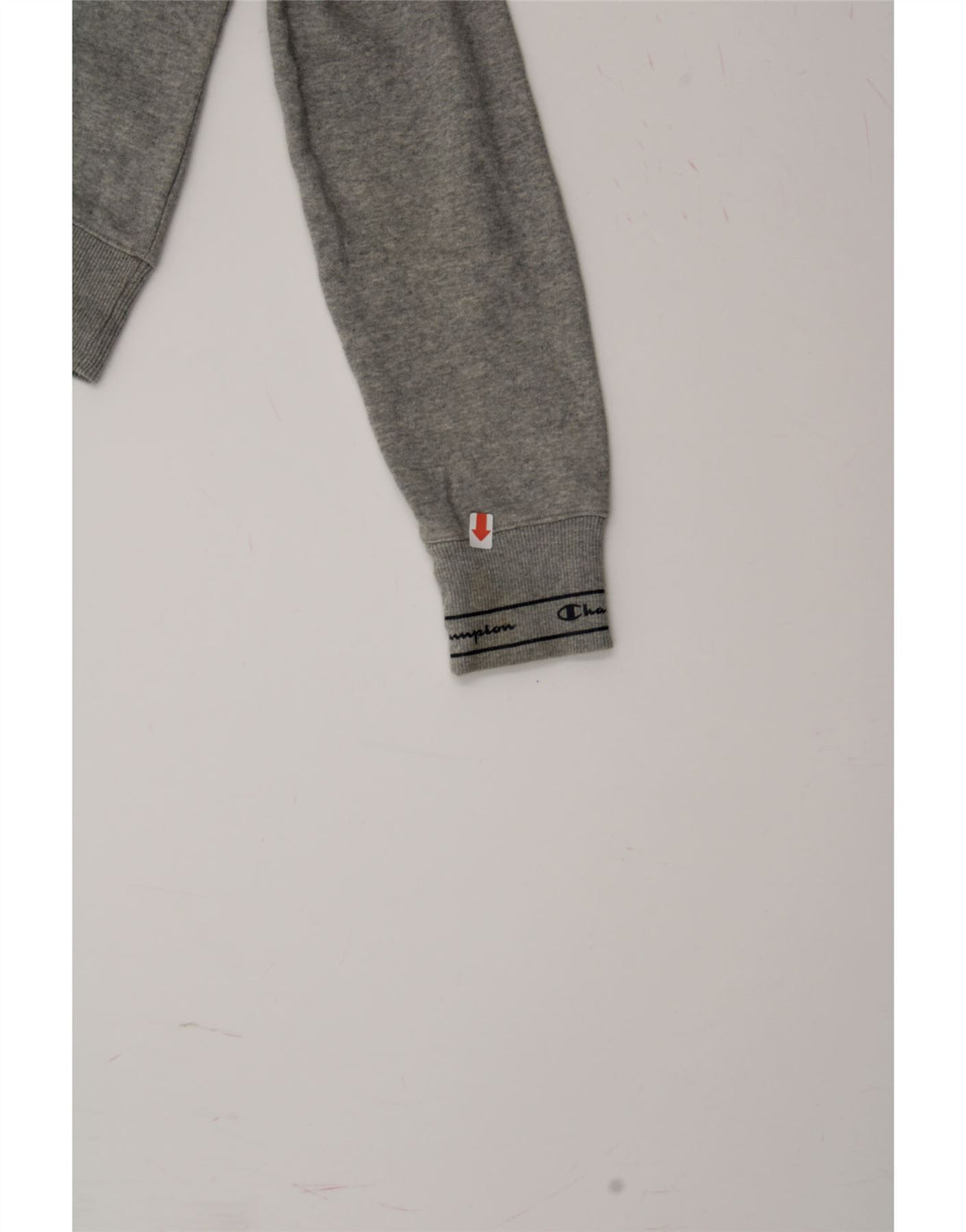 CHAMPION Womens Graphic Hoodie Jumper UK 12 Medium Grey Cotton Vintage Champion and Second-Hand Champion from Messina Hembry 