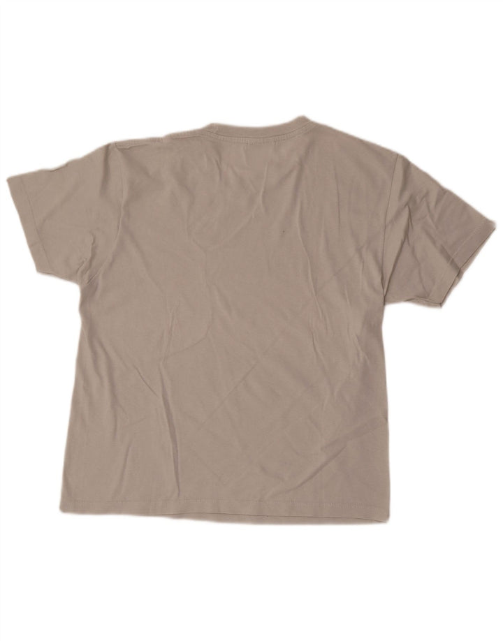 Campeão Mens Graphic T-Shirt Top Pequeno Cinza