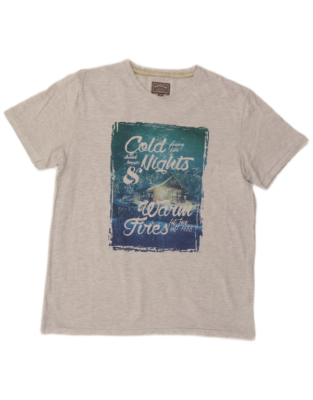 Camiseta gráfica masculina Fat Face Top algodão cinza médio