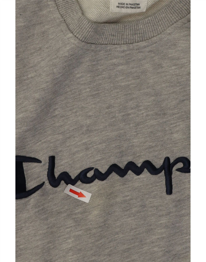 Moletom gráfico masculino Champion 2XL algodão manchado cinza