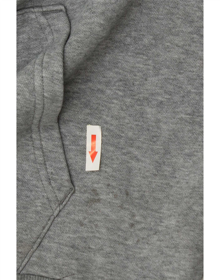 Suéter com capuz gráfico masculino Puma grande algodão cinza