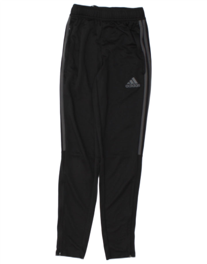 Calça Adidas Mens Treino XS Poliéster Preto