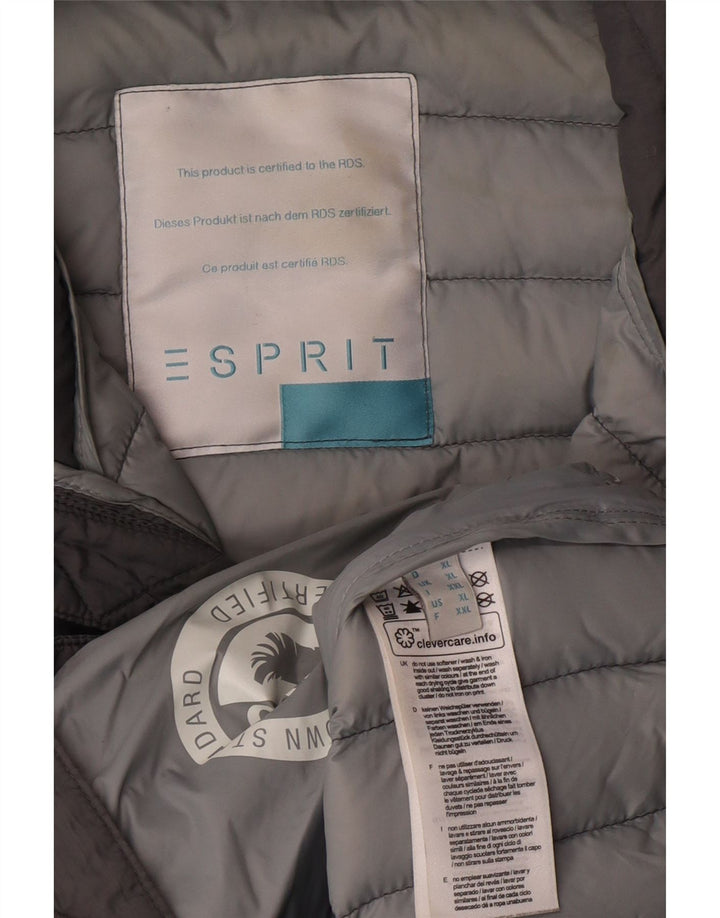Jaqueta acolchoada feminina ESPRIT UK 18 XL cinza poliamida