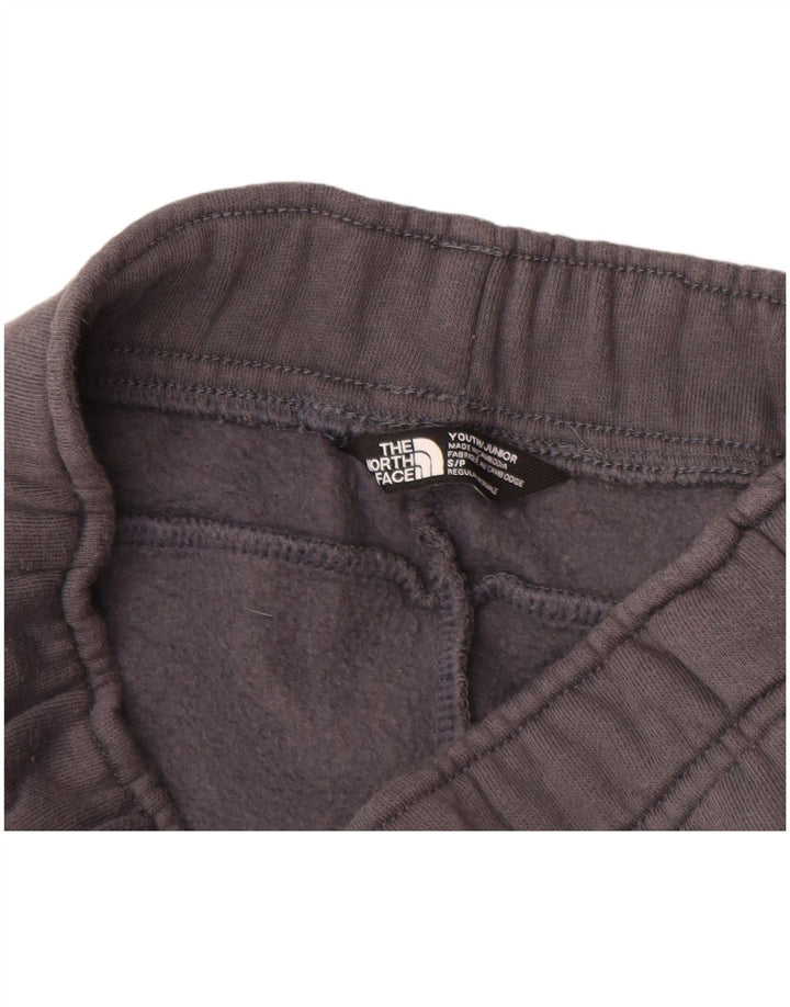 THE NORTH FACE Meninos Calças de treino Joggers 7-8 anos Pequeno Cinzento