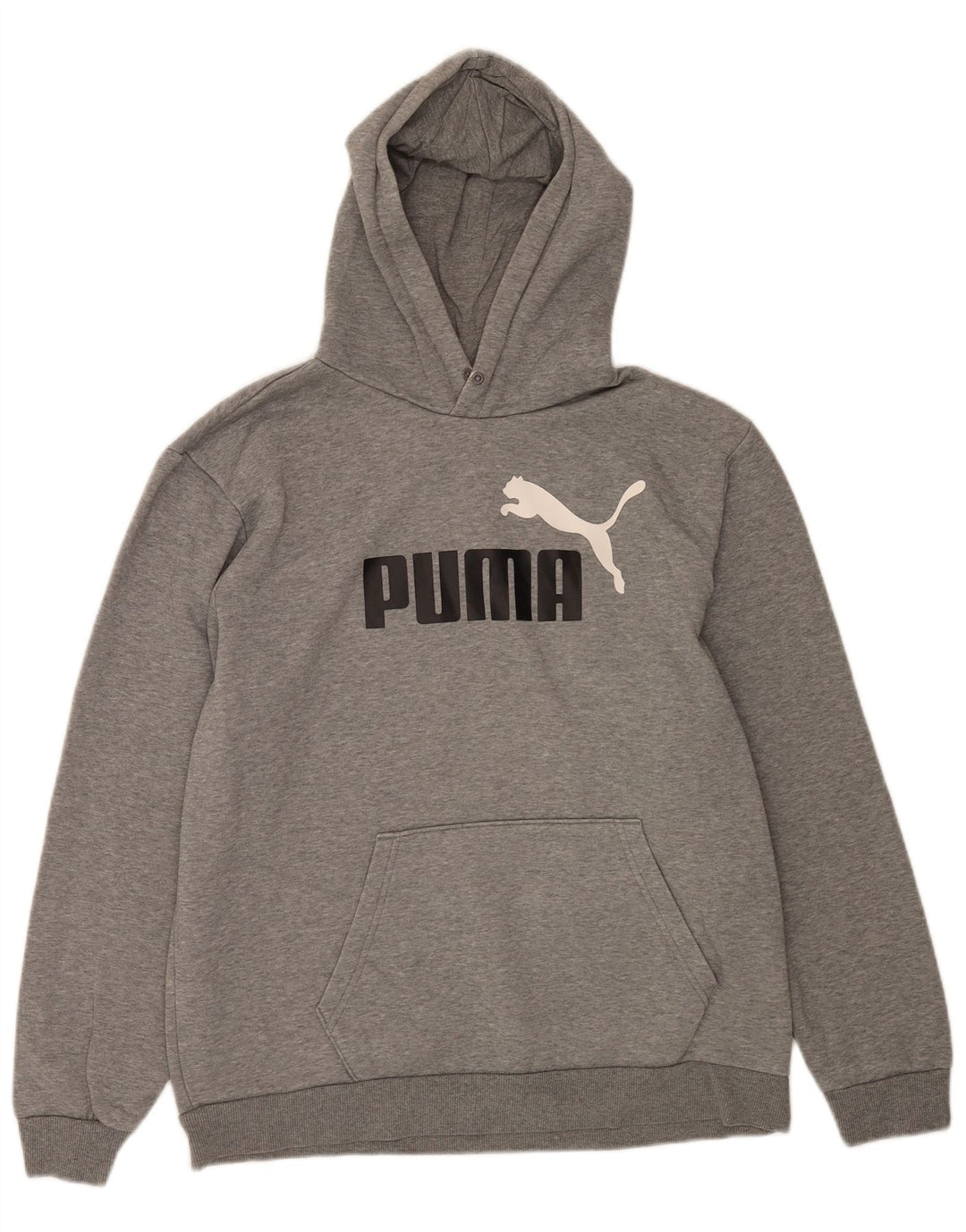 Suéter com capuz gráfico masculino Puma grande cinza