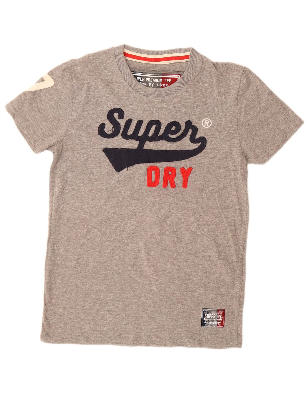 Camiseta masculina SUPERDRY com estampa gráfica cinza médio algodão