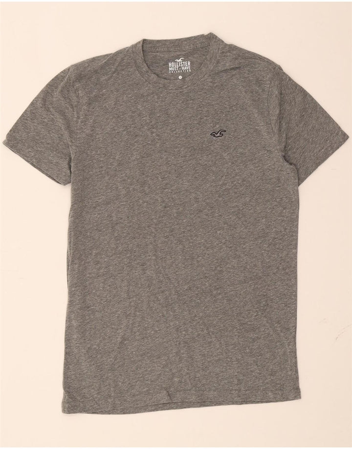 HOLLISTER Mens T-Shirt Top Small Grey Vintage Hollister and Second-Hand Hollister from Messina Hembry 