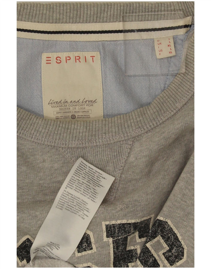 Suéter gráfico masculino Esprit grande algodão manchado cinza