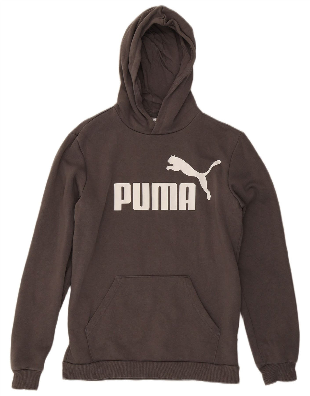 Jumper com capuz gráfico PUMA Boys 15-16 anos algodão cinza
