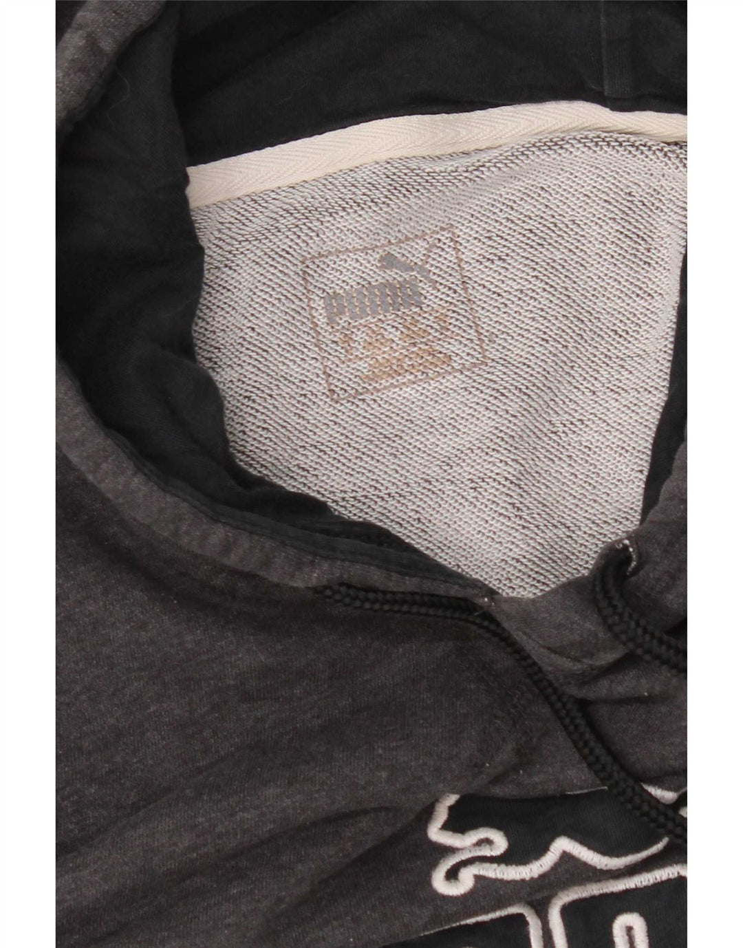 Puma masculino gráfico moletom com capuz cinza médio