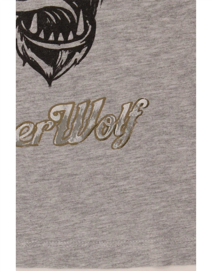Top Zara Boys Graphic T-Shirt 7-8 Anos Cinza