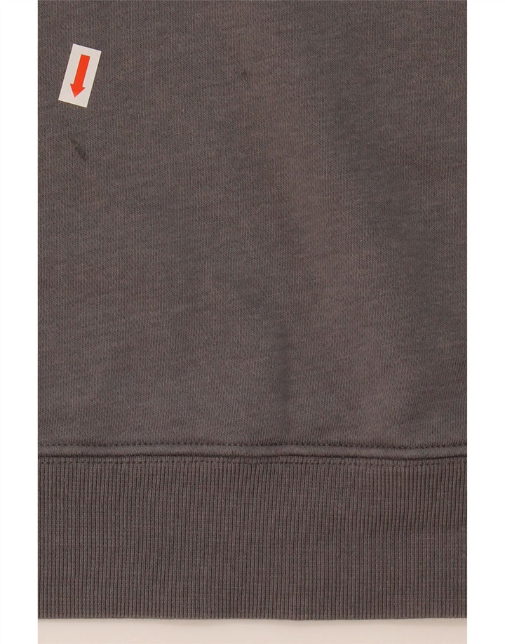 CHAMPION Mens Graphic Hoodie Jumper Large Grey Cotton Vintage Champion and Second-Hand Champion from Messina Hembry 