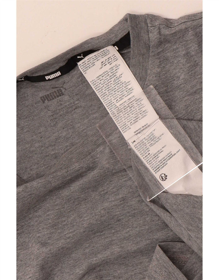 Camiseta masculina Puma Graphic Top grande cinza colorblock algodão