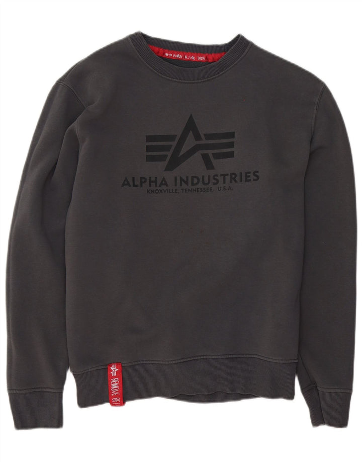 Alpha Industries Suéter gráfico masculino de algodão cinza pequeno