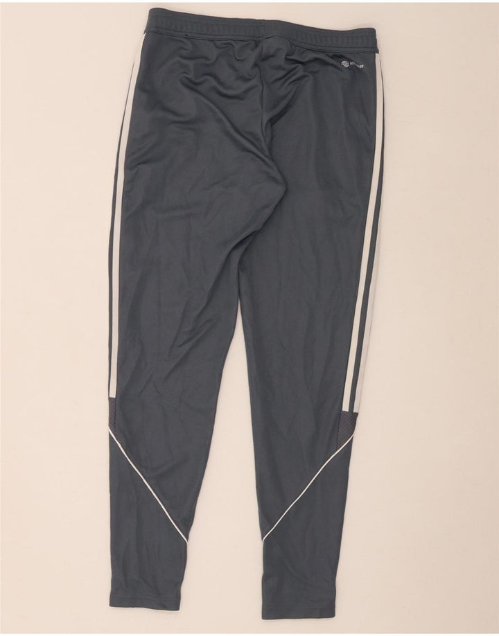 Calça Adidas Feminina Graphic Tracksuit UK 12/14 Cinza Médio