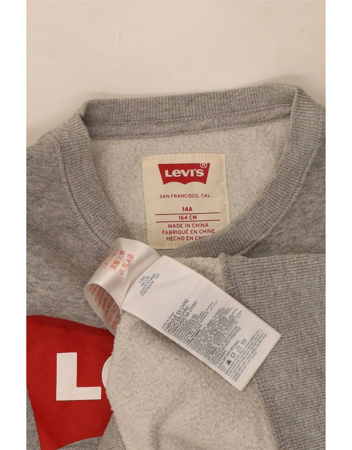 Moletom gráfico Levi's Boys 13-14 anos cinza algodão manchado