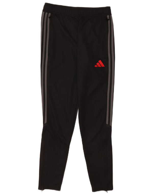 Calça Adidas Aeroready Masculina Pequena Poliéster Preto