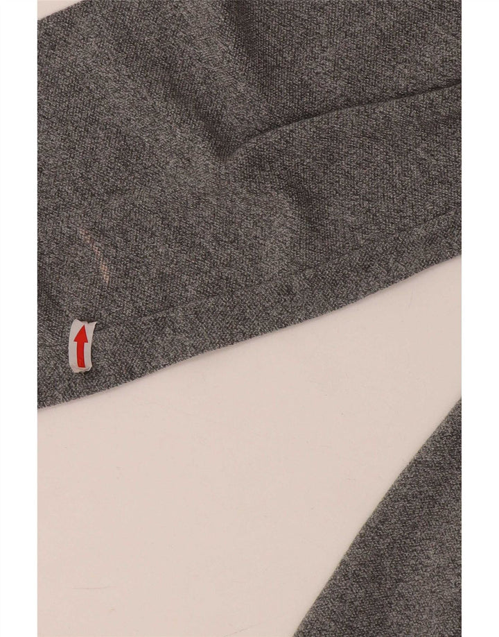 Camisa polo masculina de manga comprida Lacoste tamanho 4 algodão cinza médio
