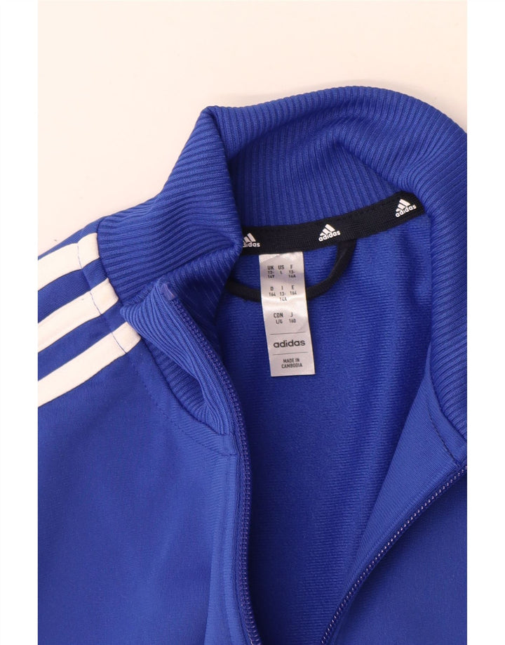 Jaqueta Adidas Meninos Treino Top 13-14 Anos Azul Colorblock Poliéster