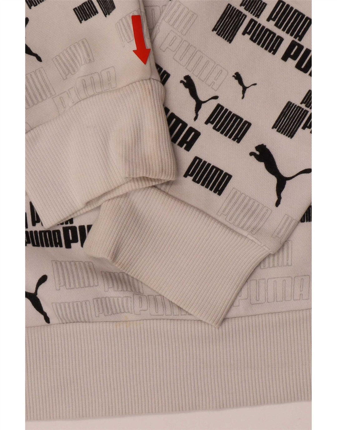 Puma masculino gráfico moletom com capuz pequeno algodão branco