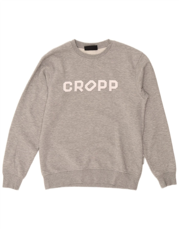 Cropp moletom masculino gráfico regular ajuste jumper pequeno algodão cinza