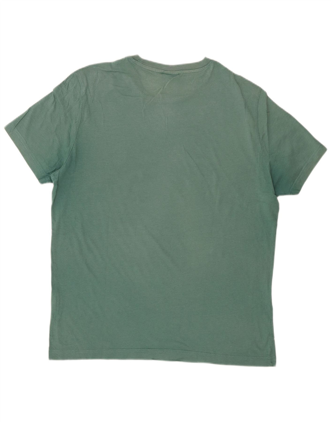 Camiseta masculina estampada Champion grande verde