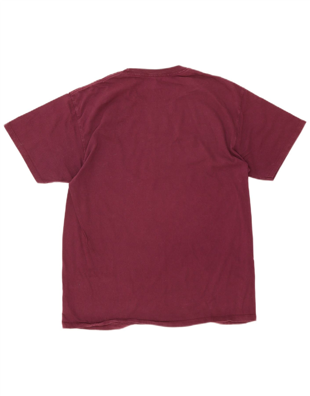 Camiseta masculina Champion grande Borgonha