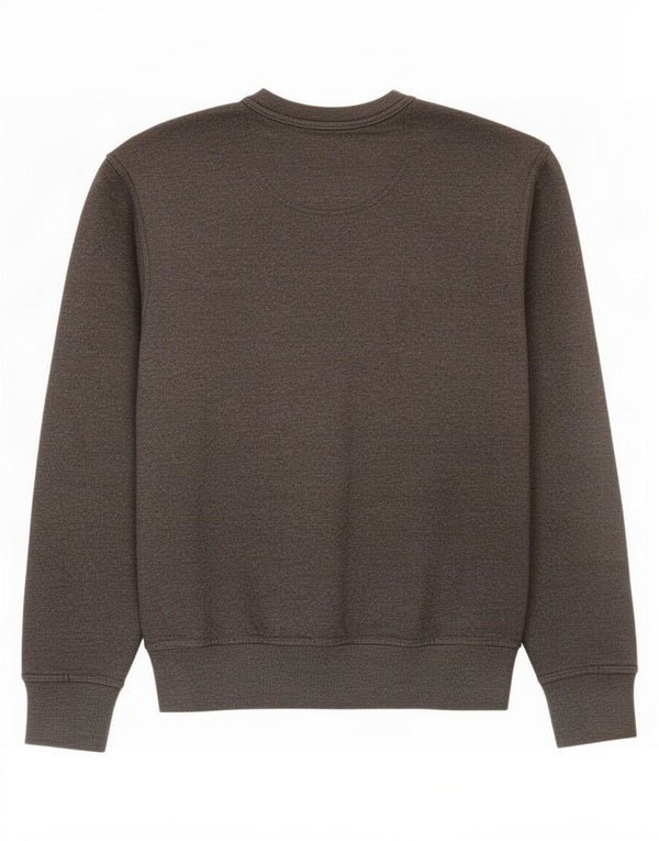 Champion moletom masculino gráfico jumper pequeno algodão cinza