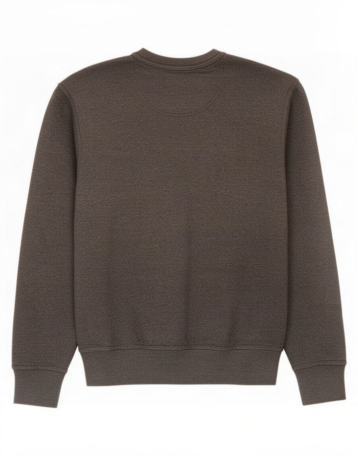 Champion moletom masculino gráfico jumper pequeno algodão cinza
