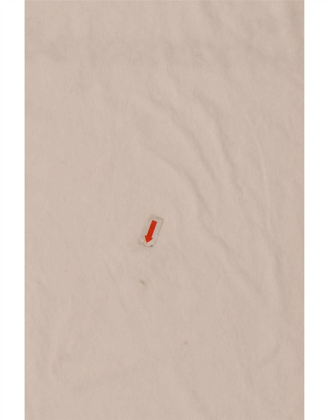 CAMPEÃO Camiseta masculina gráfica grande algodão branco