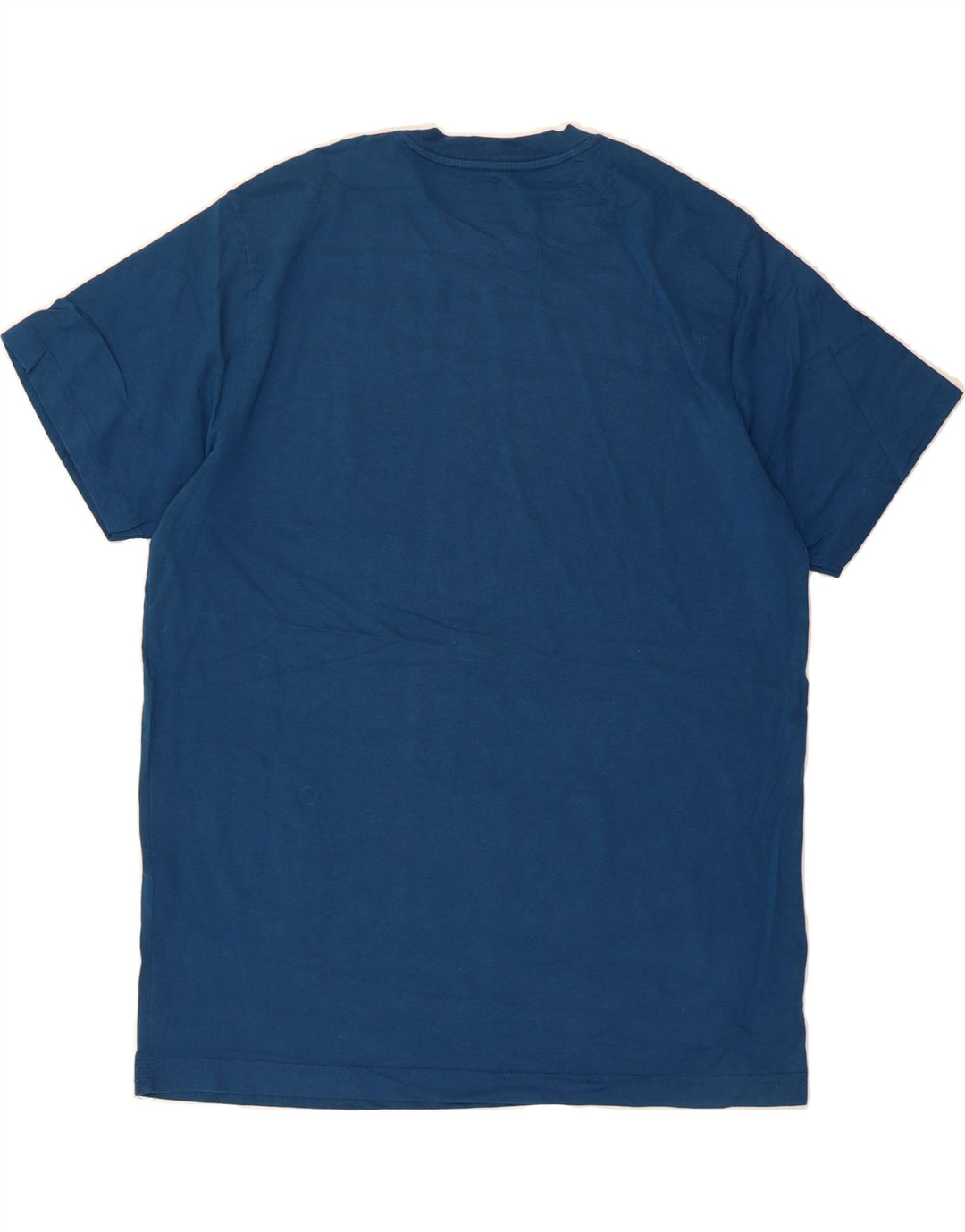 EDDIE BAUER Mens T-Shirt Top Large Blue Cotton Vintage Eddie Bauer and Second-Hand Eddie Bauer from Messina Hembry 