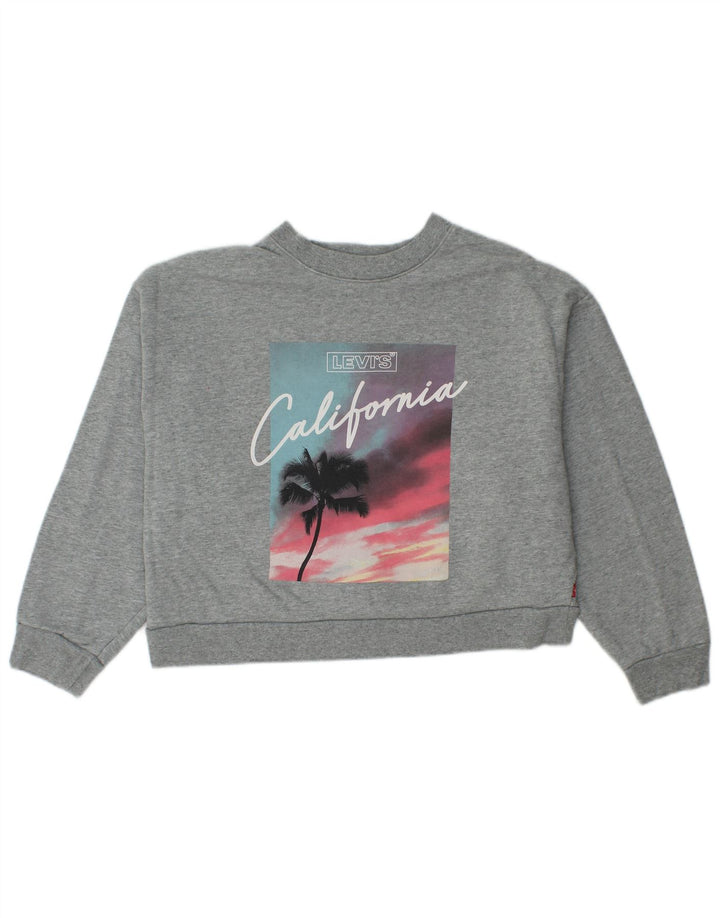 Levi's Womens Oversized Crop Graphic Moletom Jumper Reino Unido 10 Pequeno Cinza