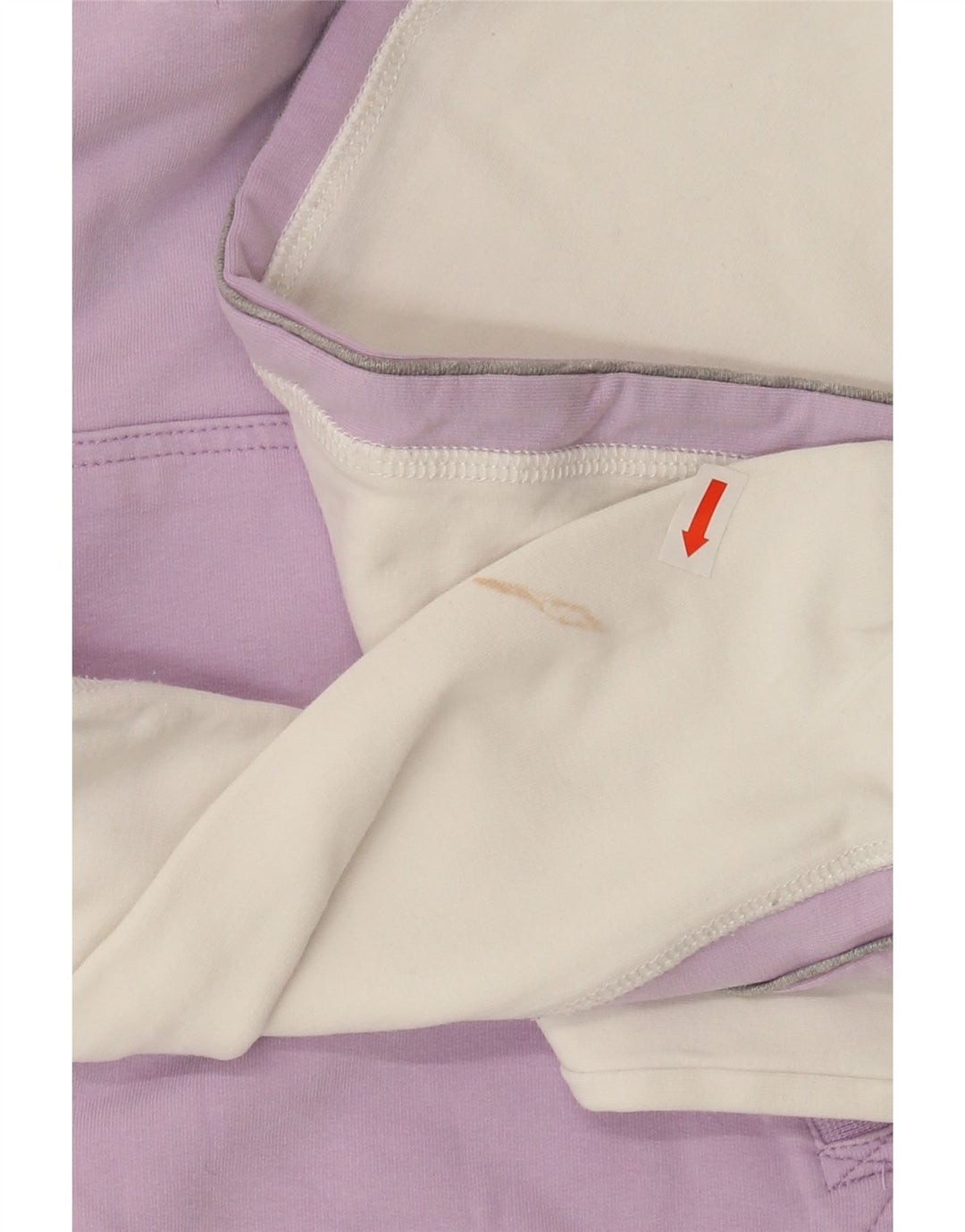 CHAMPION Womens Hoodie Jumper UK 18 XL Purple Colourblock Cotton Vintage Champion and Second-Hand Champion from Messina Hembry 