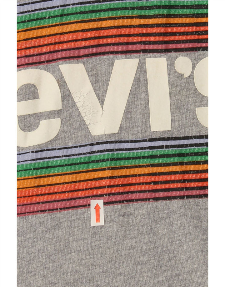 LEVI'S Mens Graphic Hoodie Jumper Small Grey Cotton Vintage Levi's and Second-Hand Levi's from Messina Hembry 