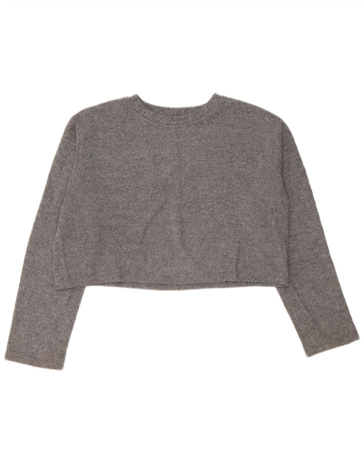 Zara Womens Crop Top Manga Longa Reino Unido 16 Grande Cinza