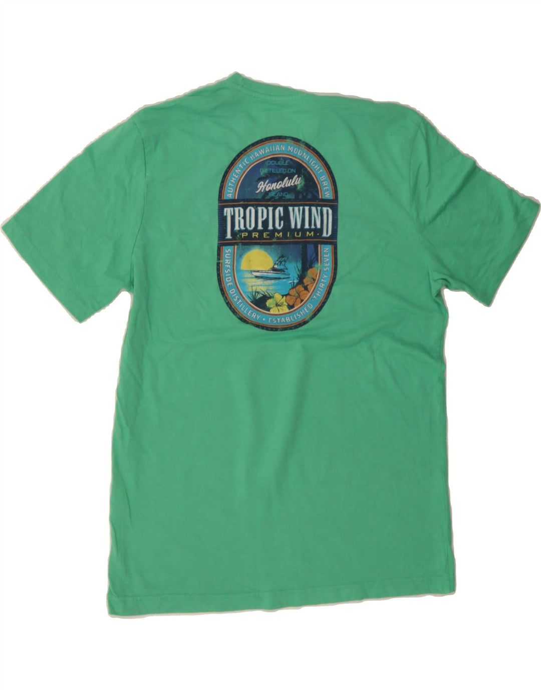 IZOD Mens Salt Water Graphic T-Shirt Top Medium Green Cotton Vintage Izod and Second-Hand Izod from Messina Hembry 
