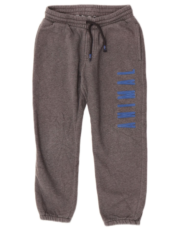 Animal Boys Graphic Treino Calça Joggers 7-8 Anos Algodão Cinza