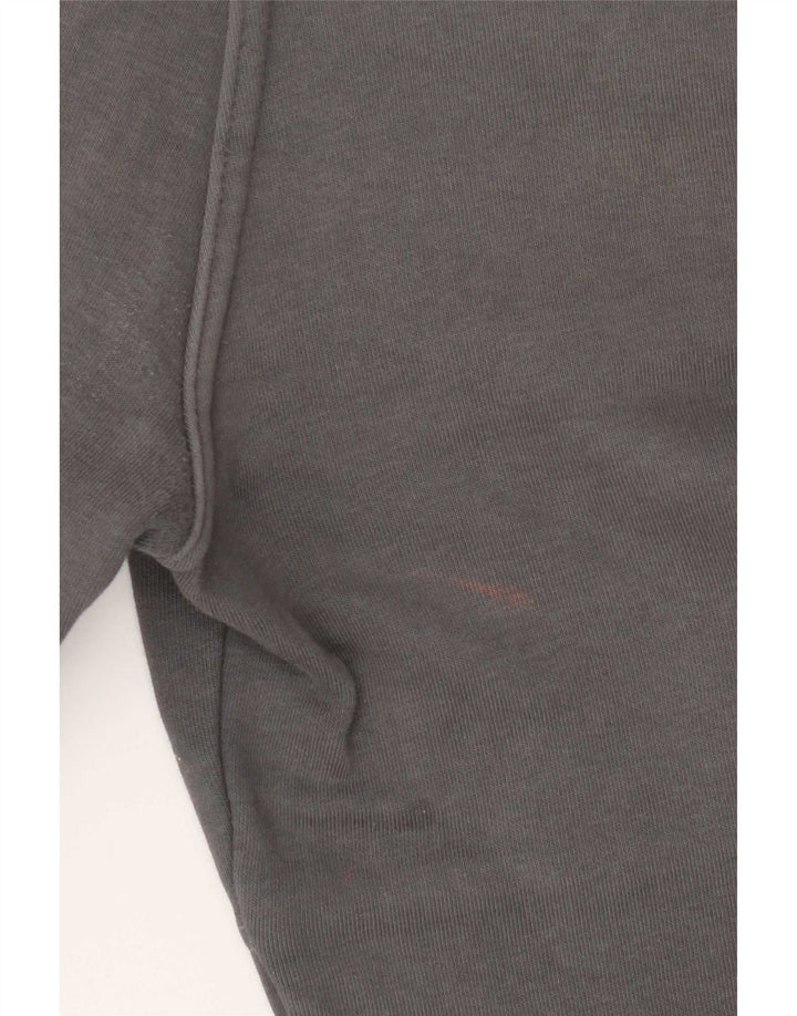 Calça de treino masculina The North Face, joggers, algodão cinza médio
