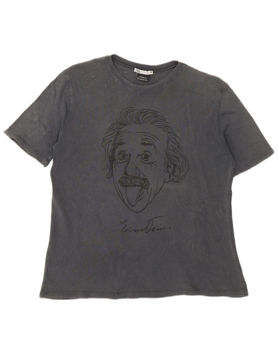 Camiseta masculina Zara Albert Einstein com estampa gráfica pequena cinza