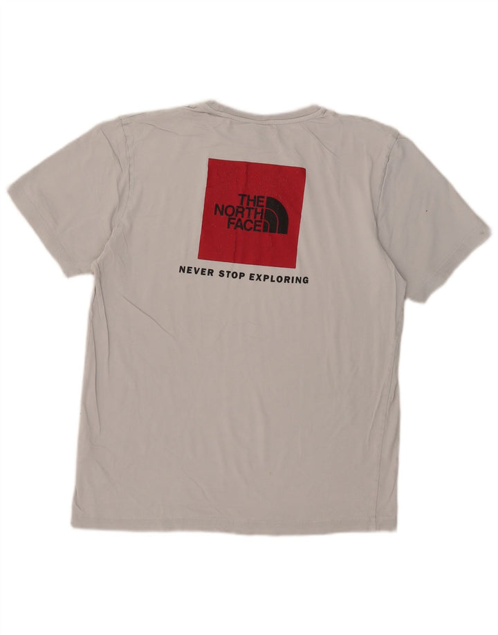 Camiseta gráfica masculina The North Face algodão cinza médio