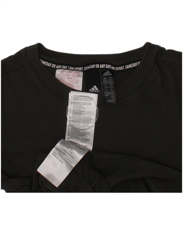 Camiseta Adidas Meninos Graphic Top 5-6 Anos Algodão Cáqui