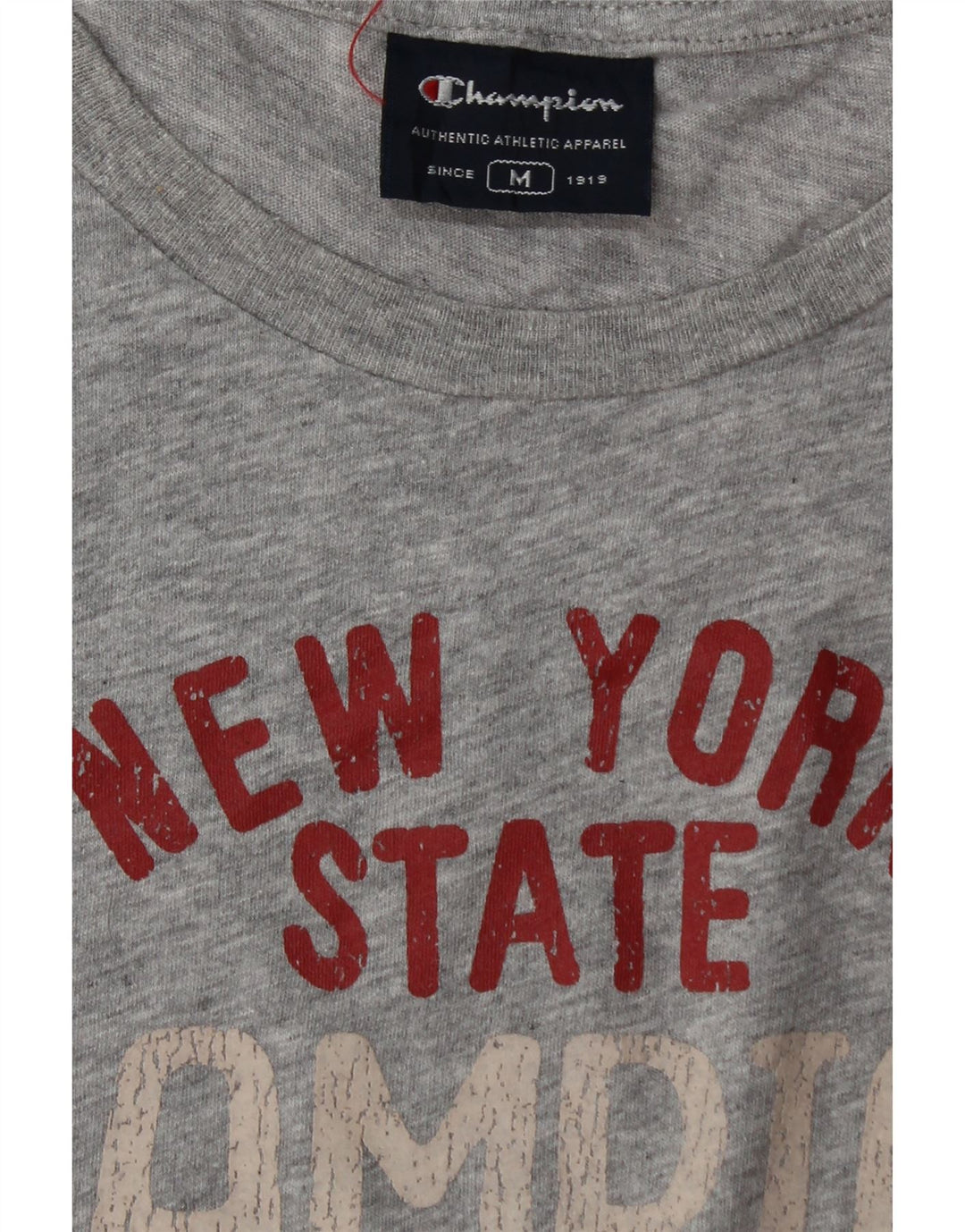 Colete gráfico masculino Champion Top cinza médio manchado