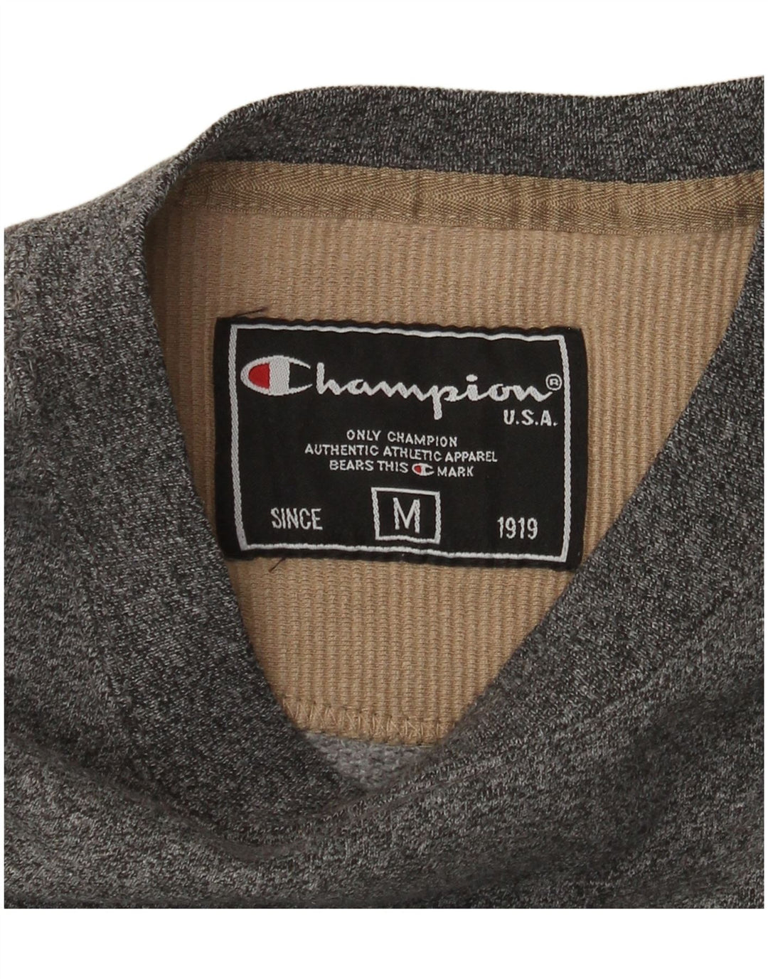 Champion moletom masculino jumper médio cinza manchado