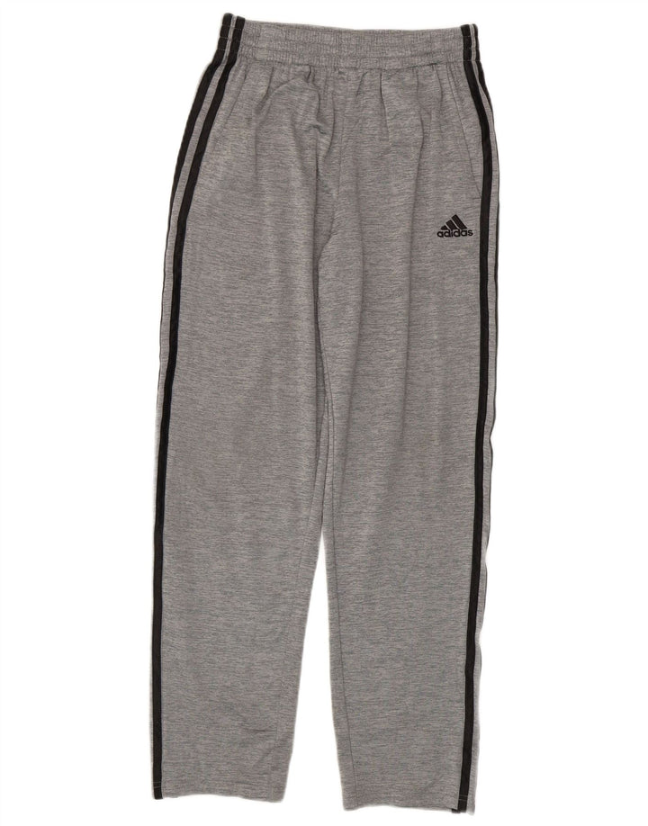 Calças de treino ADIDAS Menino 14-15 Anos Poliéster Cinzento Flecked