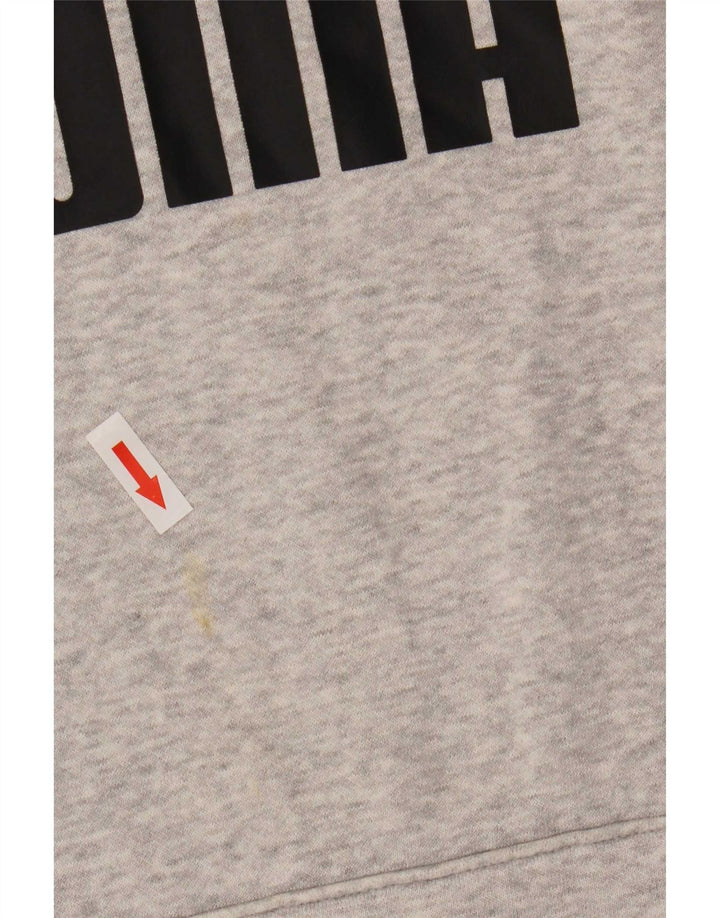 Puma masculino gráfico moletom com capuz pequeno algodão cinza