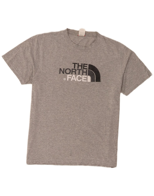 Camiseta gráfica masculina The North Face grande algodão cinza