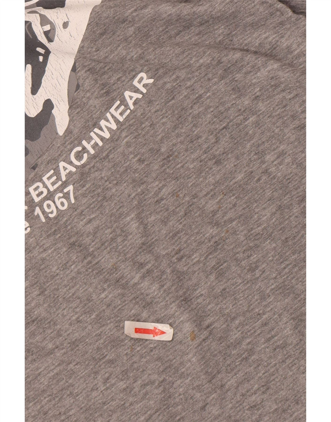 Camiseta Kappa masculina gráfica grande cinza