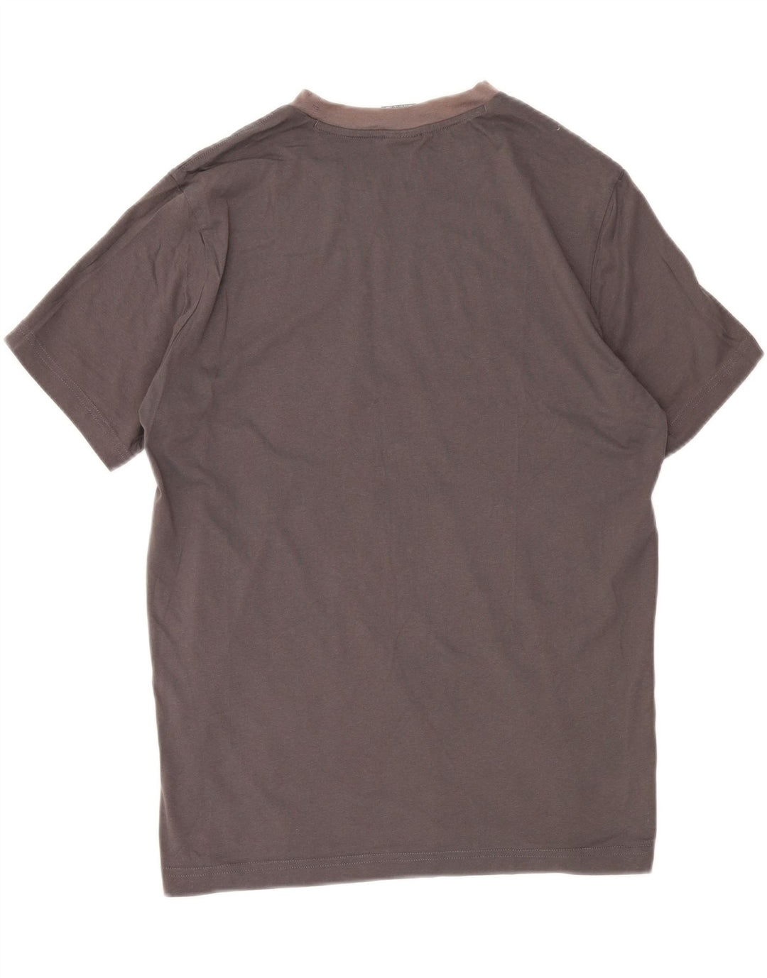 Camiseta masculina gráfica CHAMPION grande cinza