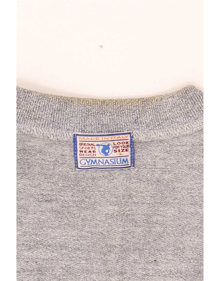Suéter gráfico masculino Gymnasium grande bloco colorido azul