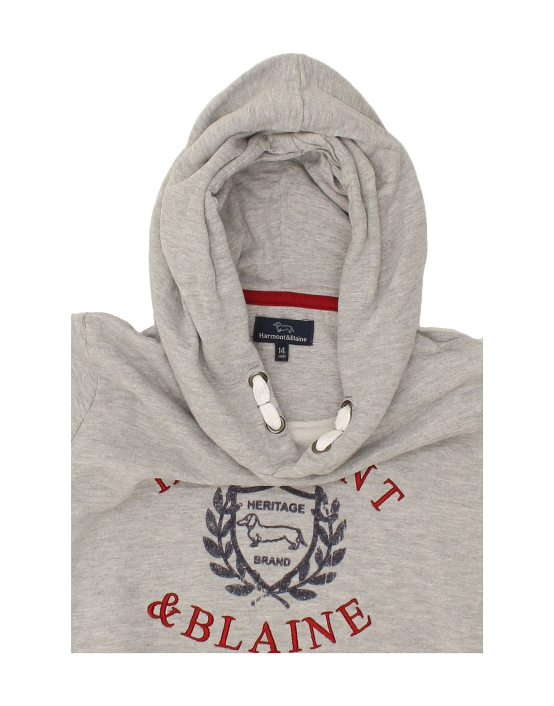 HARMONT & BLAINE Boys Graphic Hoodie Jumper 13-14 Years Grey Cotton Vintage Harmont & Blaine and Second-Hand Harmont & Blaine from Messina Hembry 